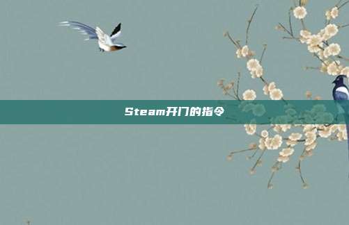 Steam开门的指令