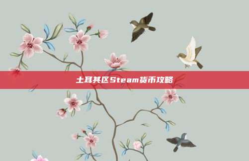土耳其区Steam货币攻略