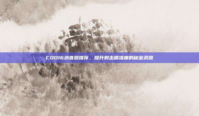 COD16消音器推荐,提升射击精准度的秘密武器