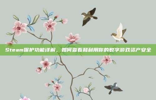 Steam保护功能详解,如何查看和利用你的数字游戏资产安全