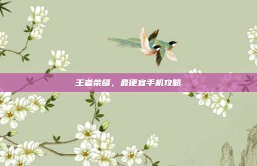 王者荣耀，最便宜手机攻略