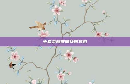 王者荣耀皮肤找回攻略
