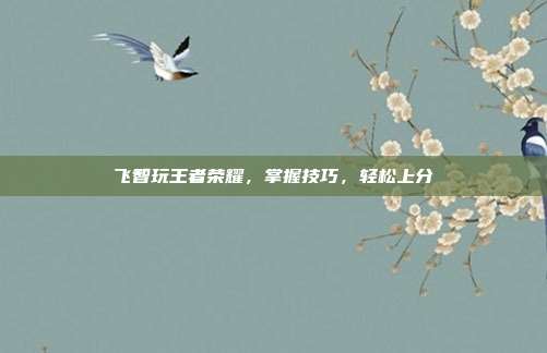 飞智玩王者荣耀,掌握技巧,轻松上分