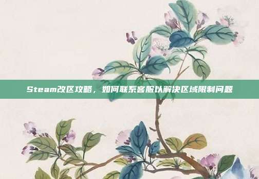 Steam改区攻略，如何联系客服以解决区域限制问题