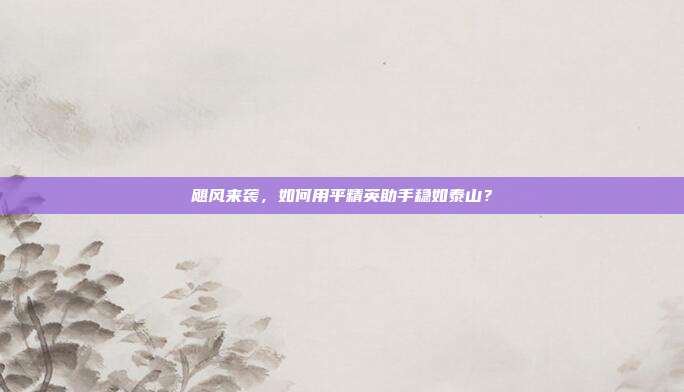 飓风来袭,如何用平精英助手稳如泰山?