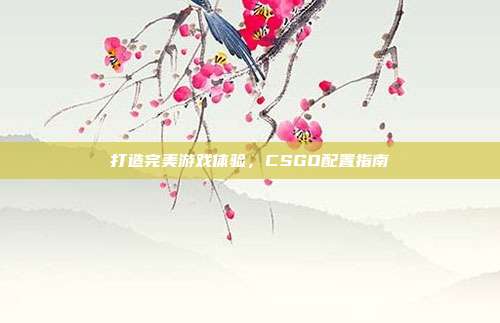 打造完美游戏体验,CSGO配置指南