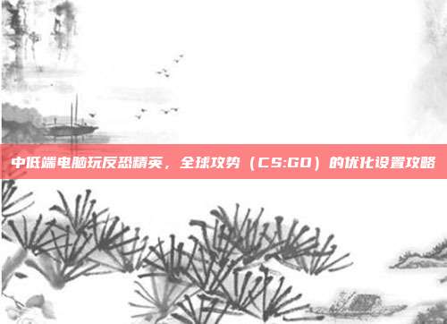 中低端电脑玩反恐精英,全球攻势(CS:GO)的优化设置攻略