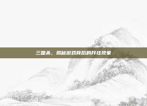 三国杀,揭秘游戏背后的开挂现象
