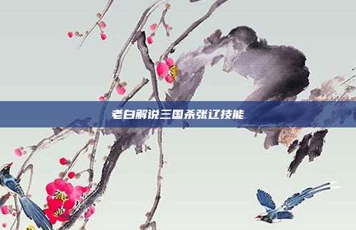 老白解说三国杀张辽技能