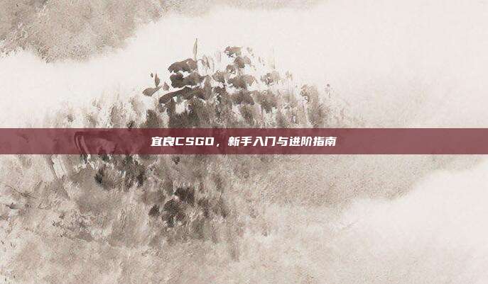 宜良CSGO,新手入门与进阶指南
