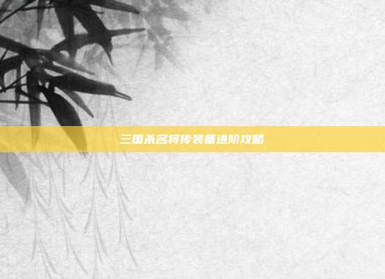 三国杀名将传装备进阶攻略