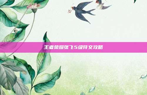 王者荣耀张飞5级符文攻略