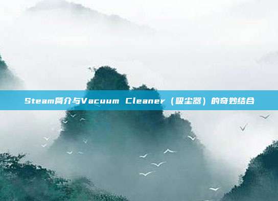 Steam简介与Vacuum Cleaner(吸尘器)的奇妙结合