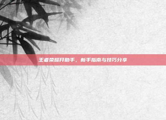 王者荣耀开助手，新手指南与技巧分享