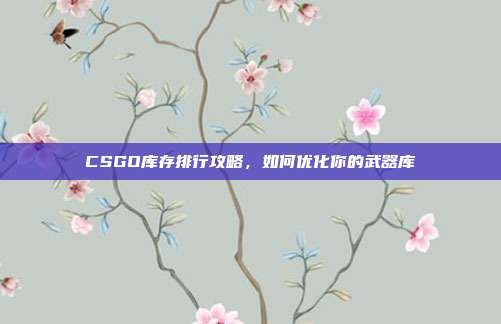 CSGO库存排行攻略,如何优化你的武器库