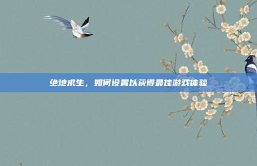 绝地求生，如何设置以获得最佳游戏体验