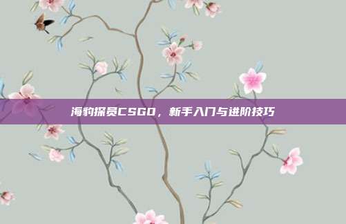 海豹探员CSGO，新手入门与进阶技巧