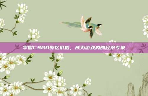 掌握CSGO外区价格,成为游戏内的经济专家