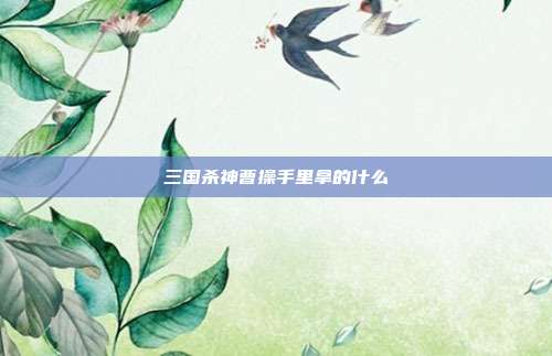 三国杀神曹操手里拿的什么