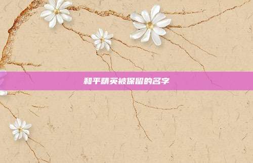 和平精英被保留的名字