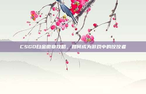 CSGO白金徽章攻略,如何成为游戏中的佼佼者