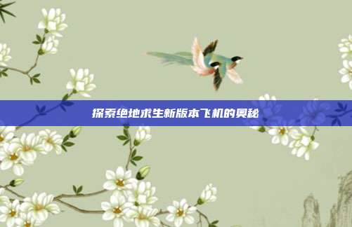 探索绝地求生新版本飞机的奥秘