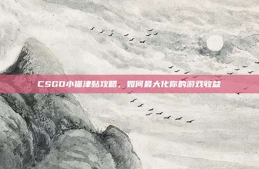 CSGO小猫津贴攻略,如何最大化你的游戏收益