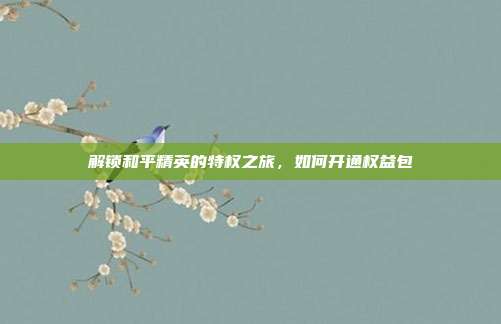 解锁和平精英的特权之旅,如何开通权益包