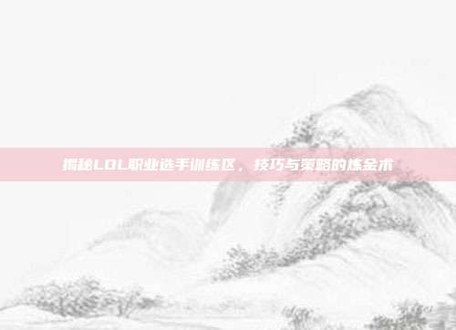 揭秘LOL职业选手训练区,技巧与策略的炼金术