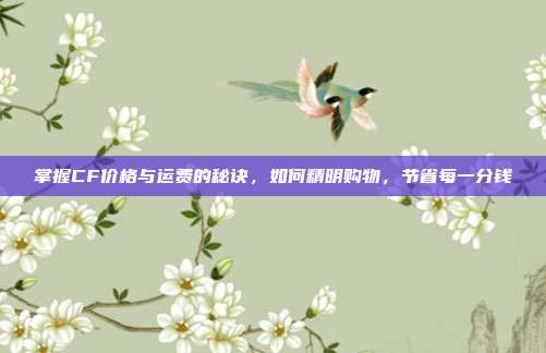 掌握CF价格与运费的秘诀,如何精明购物,节省每一分钱