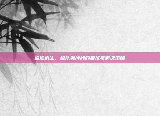 绝地求生，组队就掉线的困扰与解决策略