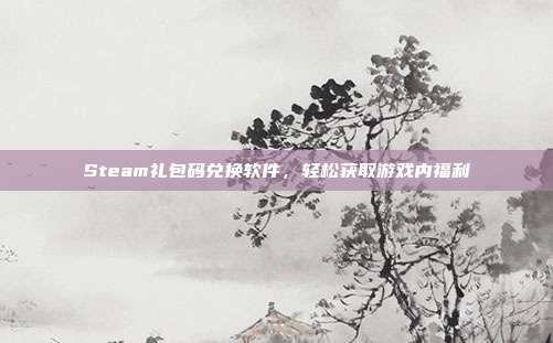 Steam礼包码兑换软件,轻松获取游戏内福利