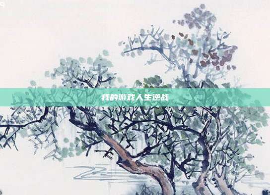我的游戏人生逆战