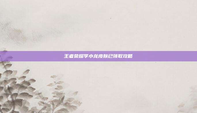 王者荣耀李小龙皮肤已领取攻略