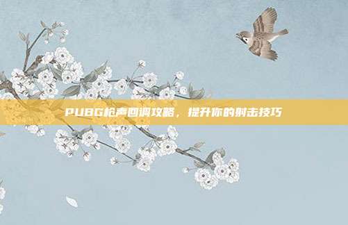 PUBG枪声回调攻略,提升你的射击技巧