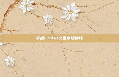 掌握CS:GO交易市场的钱
