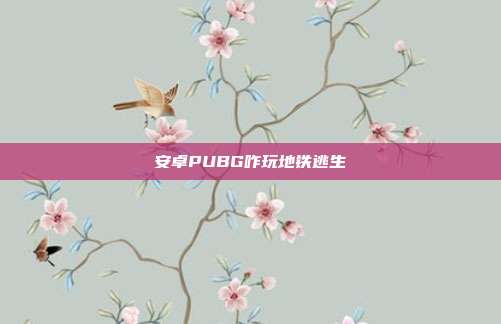 安卓PUBG咋玩地铁逃生