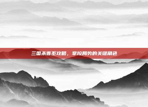 三国杀曹丕攻略,掌控局势的关键角色