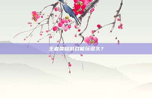 王者荣耀游戏能玩多久？