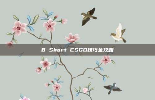 B Short CSGO技巧全攻略