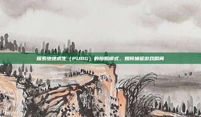 探索绝地求生(PUBG)的拍照模式,如何捕捉游戏瞬间