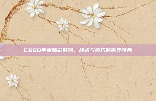 CSGO手雷精彩时刻,战术与技巧的完美结合