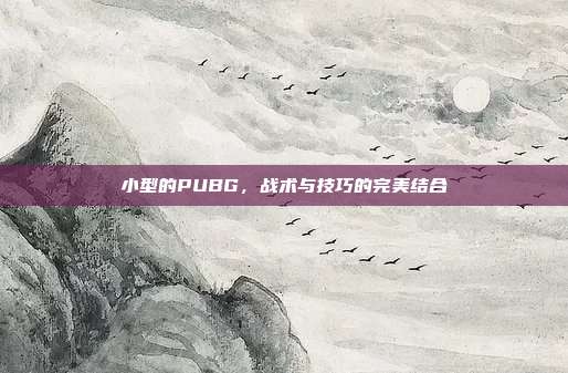 小型的PUBG,战术与技巧的完美结合