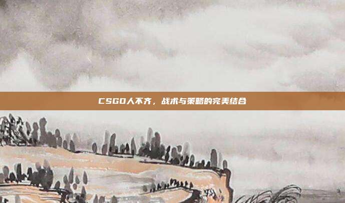 CSGO人不齐,战术与策略的完美结合