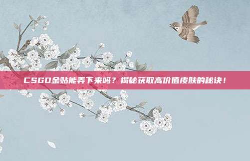 CSGO金贴能弄下来吗?揭秘获取高价值皮肤的秘诀!