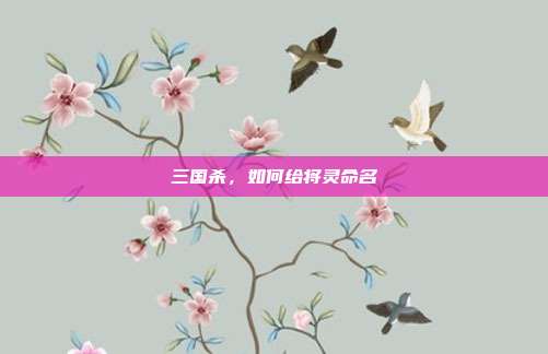 三国杀,如何给将灵命名