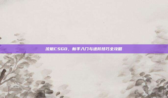 沈航CSGO,新手入门与进阶技巧全攻略