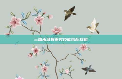 三国杀武将徐晃技能搭配攻略