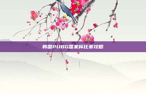 韩国PUBG国家杯比赛攻略