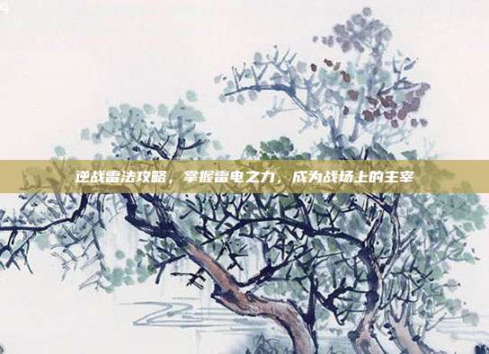 逆战雷法攻略,掌握雷电之力,成为战场上的主宰